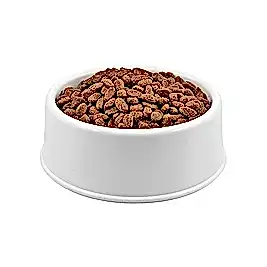 Nature's Protection Kümes Hayvanlı Açık Kısır Kedi Maması 1 KG