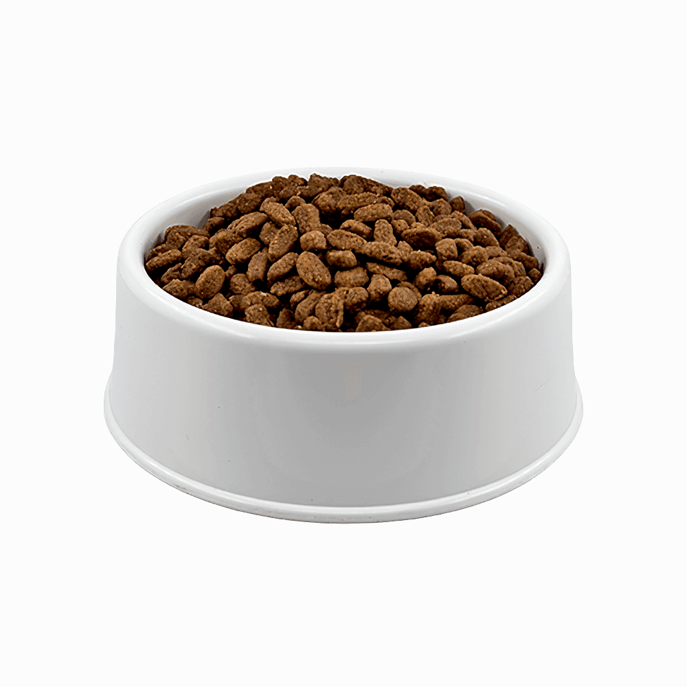 Hill's Science Plan Tavuk Etli Açık Kısırlaştırılmış Kedi Maması 1 Kg