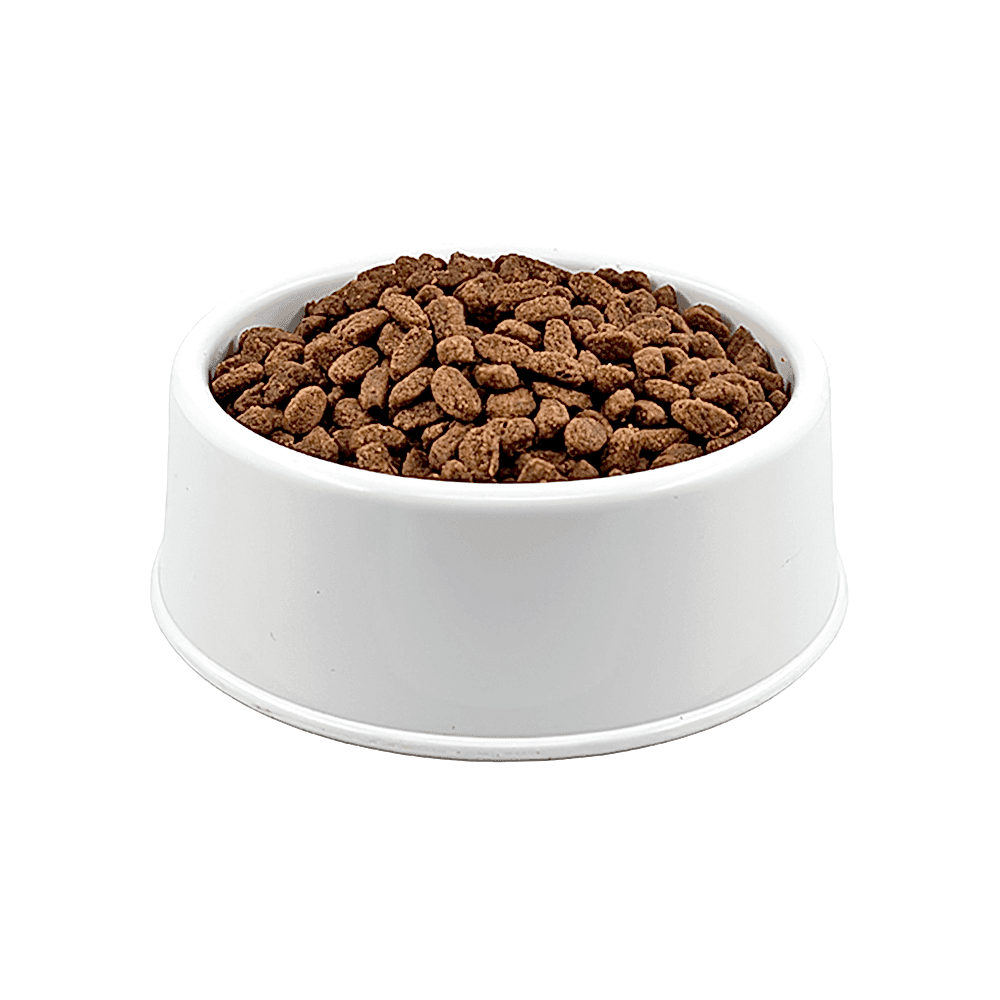 Hill's Science Plan Tavuk Etli Açık Yetişkin Kedi Maması 1 Kg