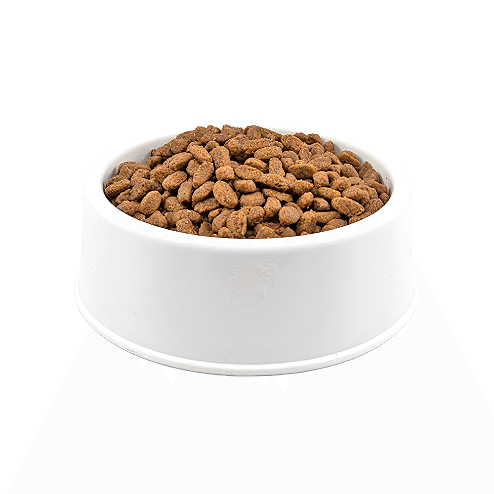 Hill's Somon Balıklı Açık Kısırlaştırılmış Kedi Maması 1 Kg