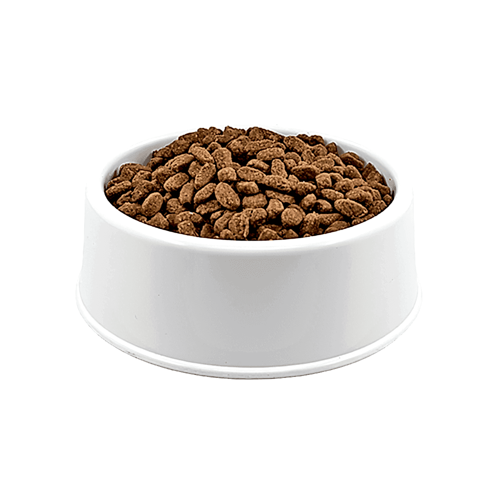 Hill's Science Plan Ton Balıklı Açık Yavru Kedi Maması 1 Kg