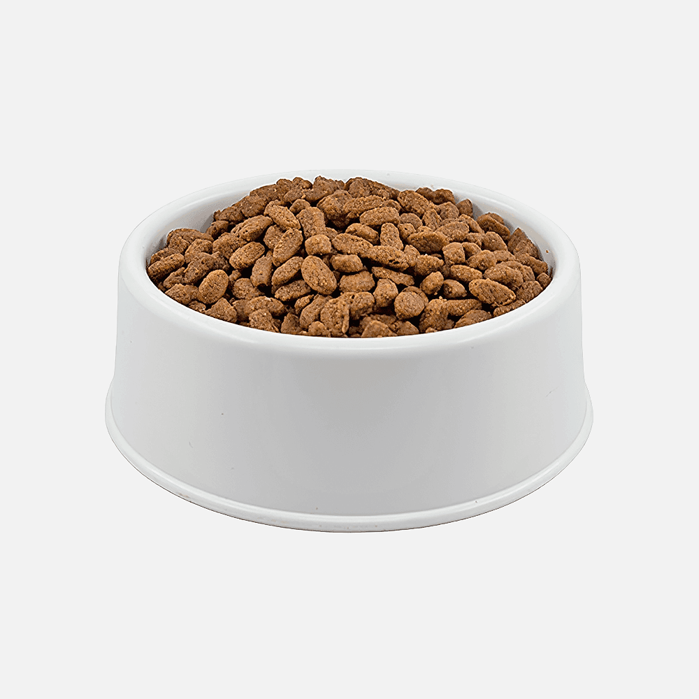 Royal Canin Açık Yavru Kedi Maması 1 Kg