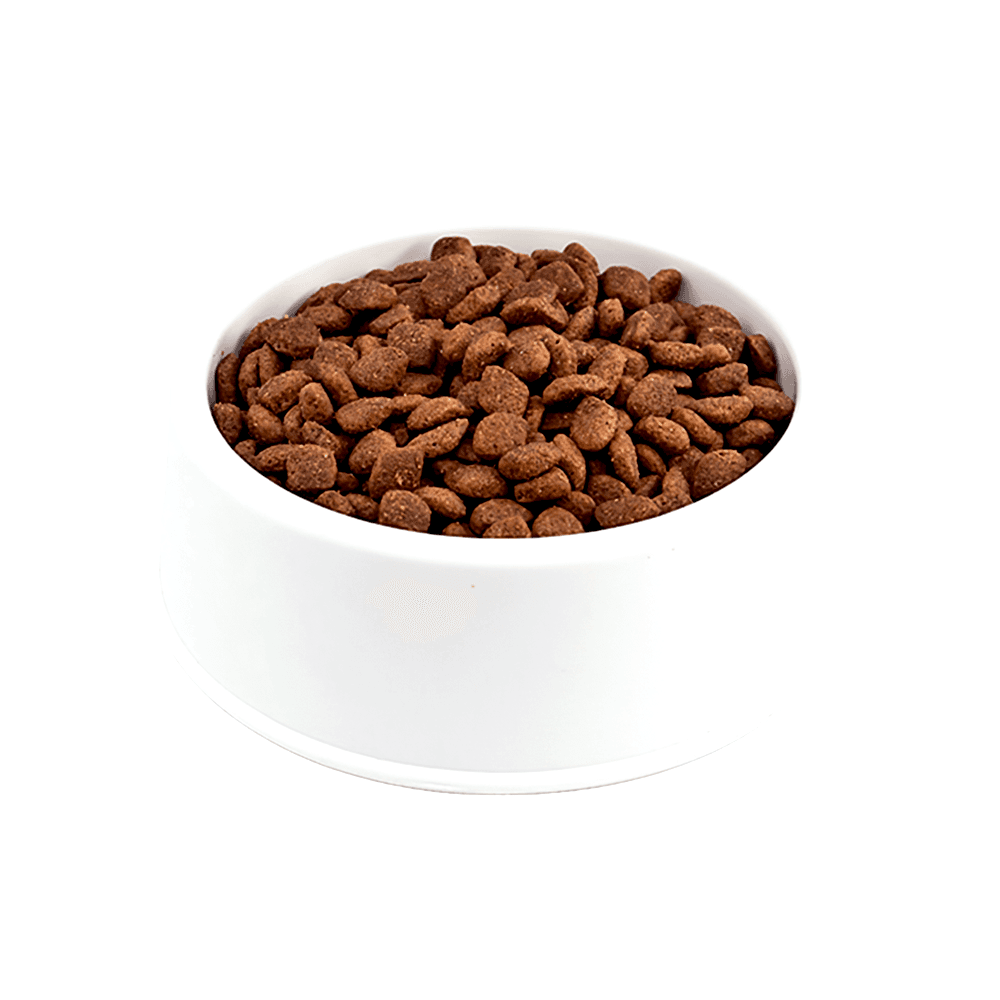 N&D Düşük Tahıllı Kuzu Etli Açık Yetişkin Kedi Maması 1 Kg