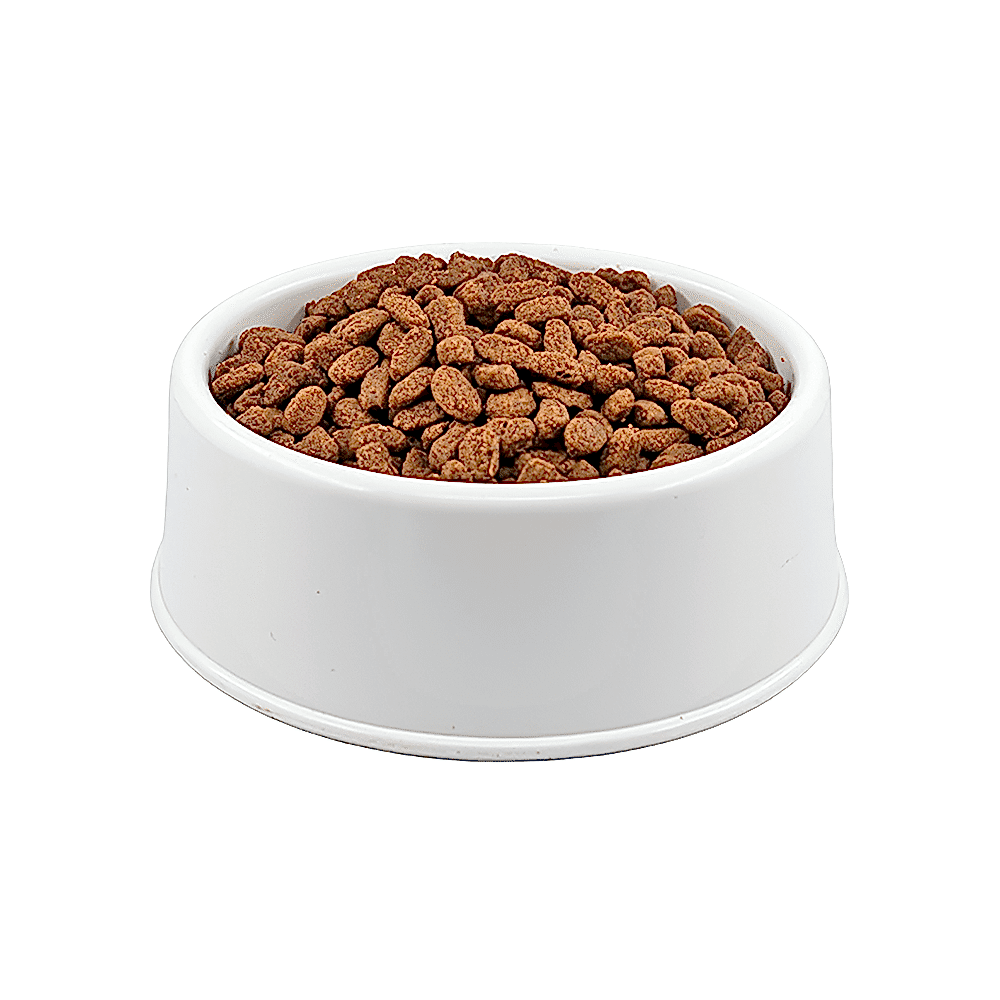 Royal Canin Fit 32 Açık Yetişkin Kedi Maması 1 KG