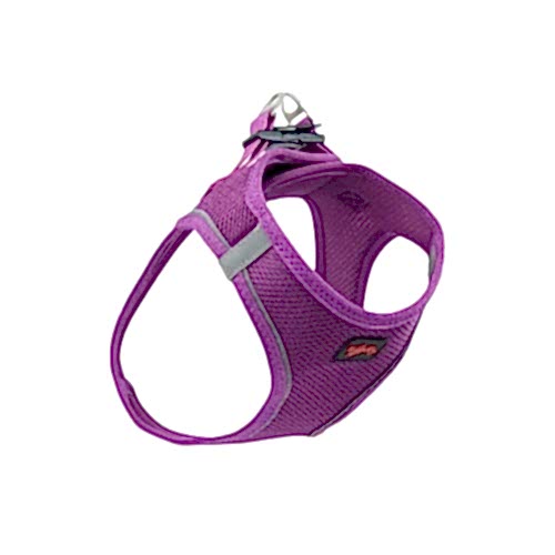 TailPetz Air Mesh Köpek Göğüs Tasması Mor (S)
