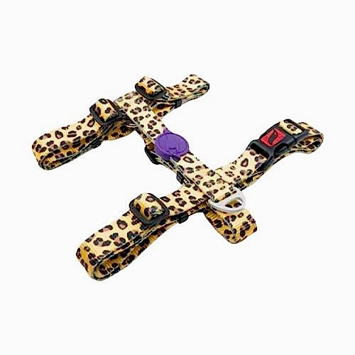 Tailpetz Leopard H-Tipi Göğüs Tasması (XS)