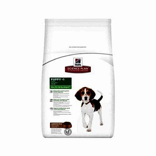 Hill's Science Plan Kuzu Etli Orta Irk Yavru Köpek Maması (12 kg)