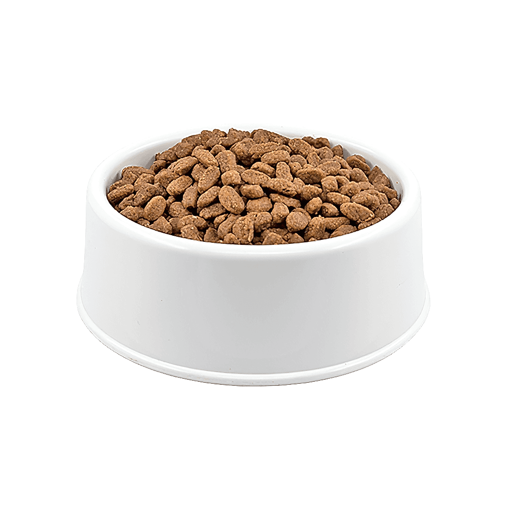 Purina Pro Plan Medium Kuzu Etli Açık Yetişkin Köpek Maması 1 KG