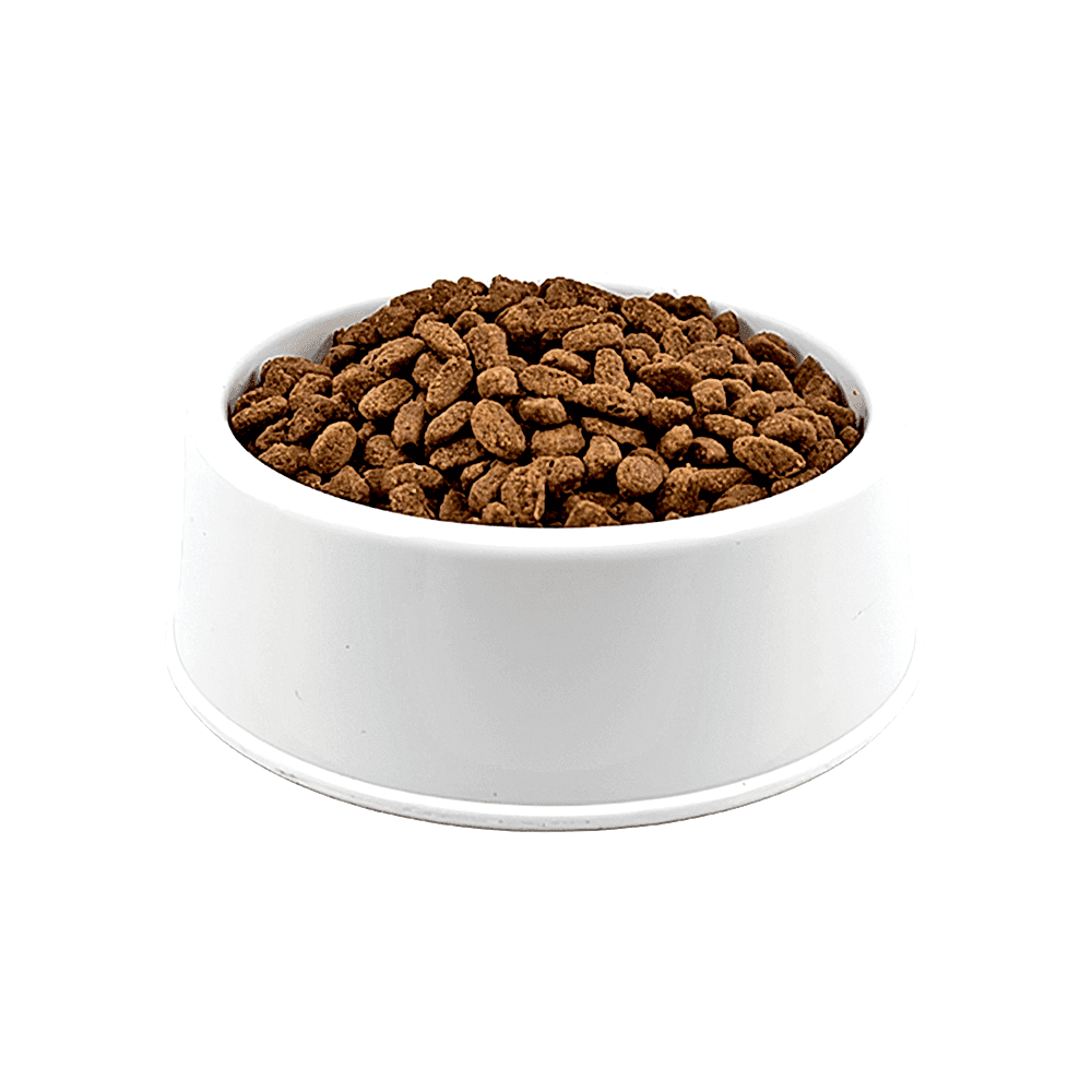 Purina Pro Plan Medium Kuzu Etli Açık Yavru Köpek Maması 1 KG