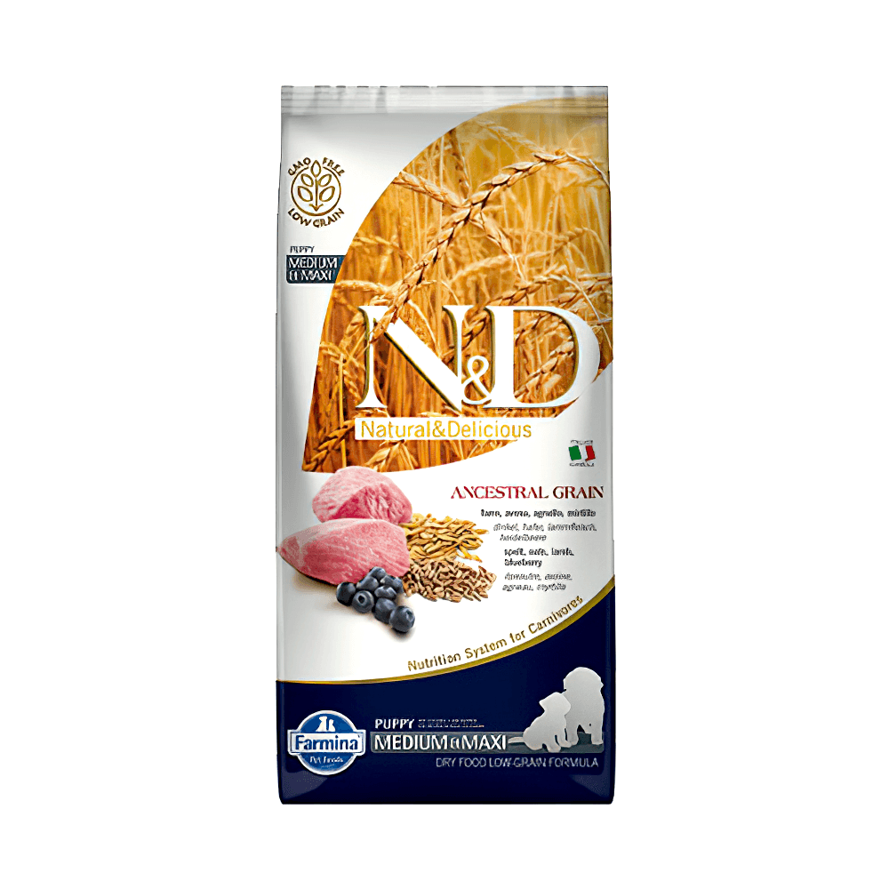 N&D Düşük Tahıllı, Kuzu Etli & Yaban Mersinli Orta ve Büyük Irk Yavru Köpek Maması (12 kg)