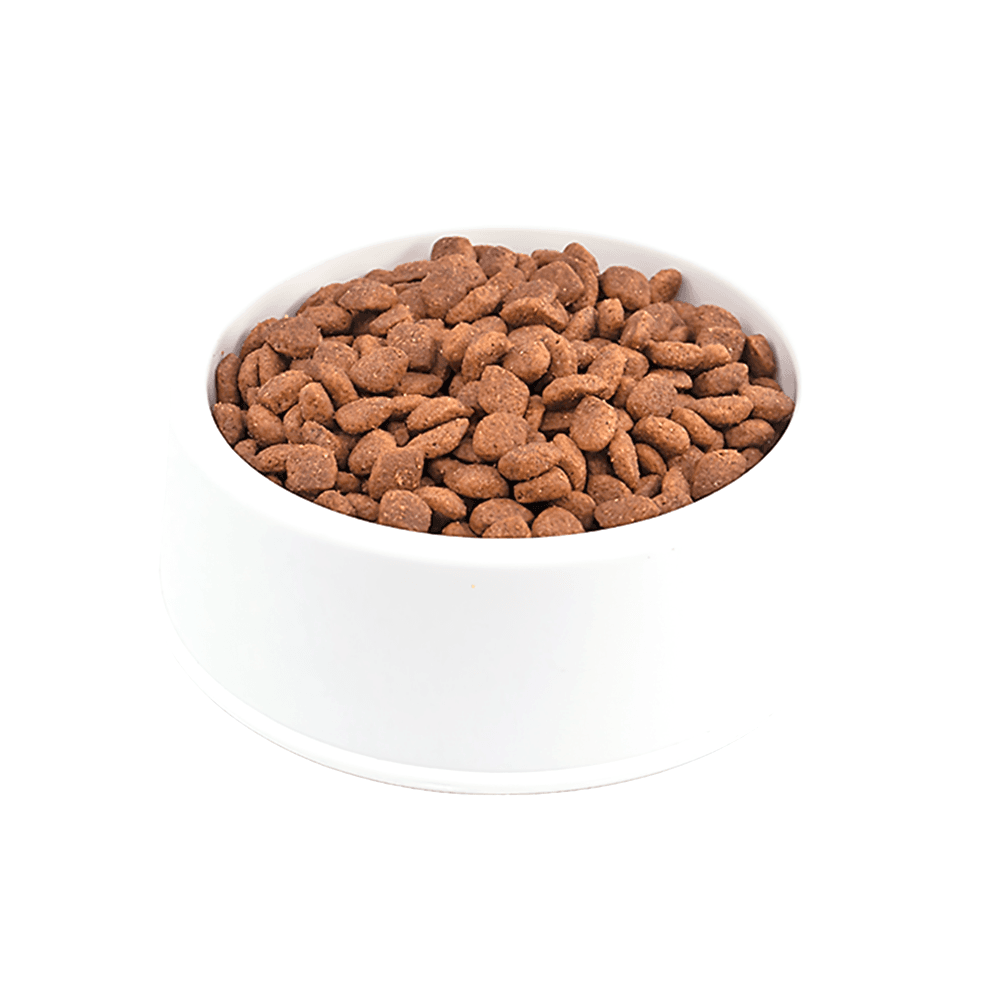 Purina Pro Plan Açık Yavru Kedi Maması 500 GR