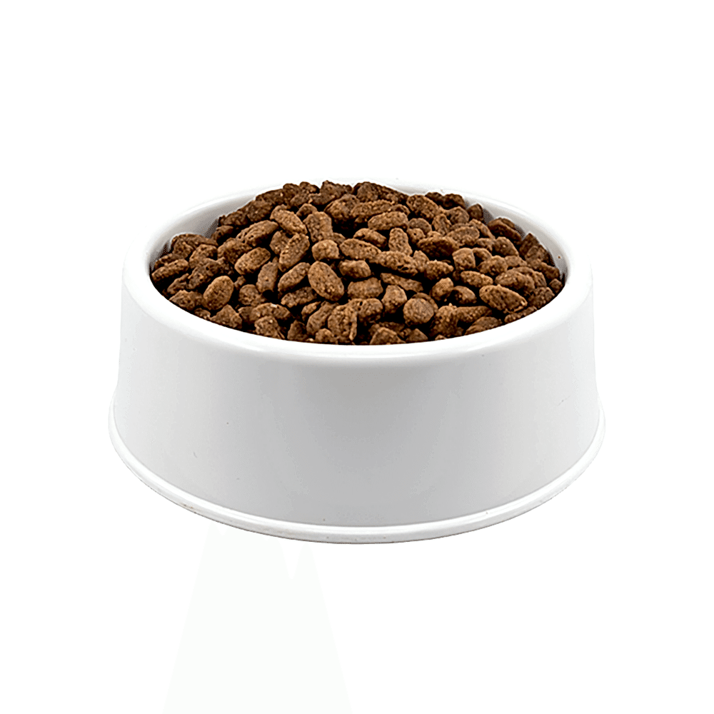 Purina Pro Plan Somonlu Orta Irk Açık Yavru Köpek Maması 500 GR