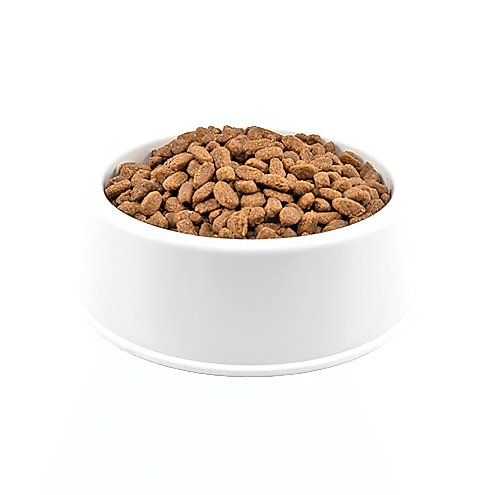 Royal Canin Açık Yavru Kedi Maması 500 GR