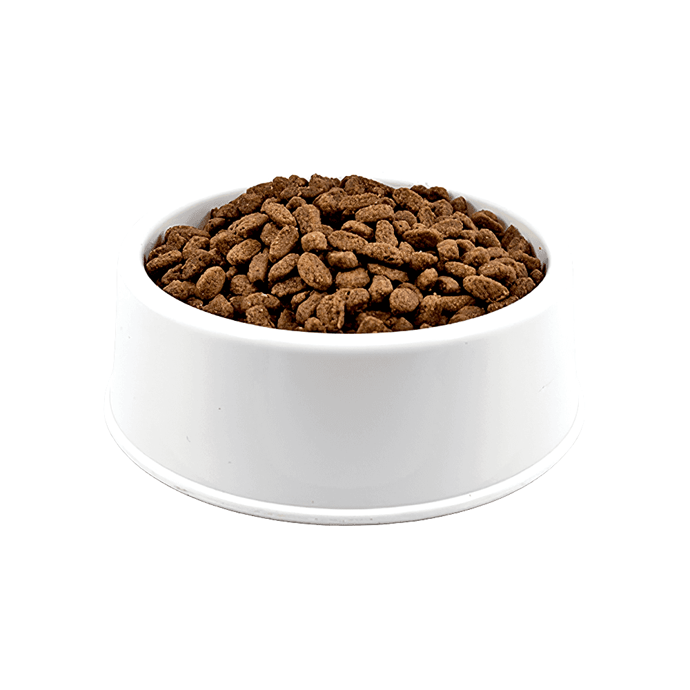 Brit Care Hindi Etli, Ördek Etli & Tahılsız Açık Kısırlaştırılmış Kedi Maması 500 GR