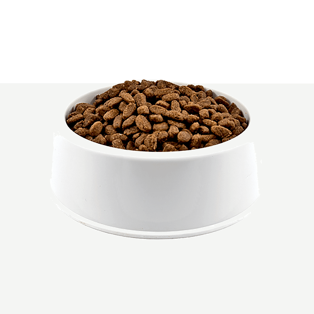 Brit Care Hindi Etli, Somonlu ve Tahılsız Açık Yetişkin Kedi Maması 1 KG