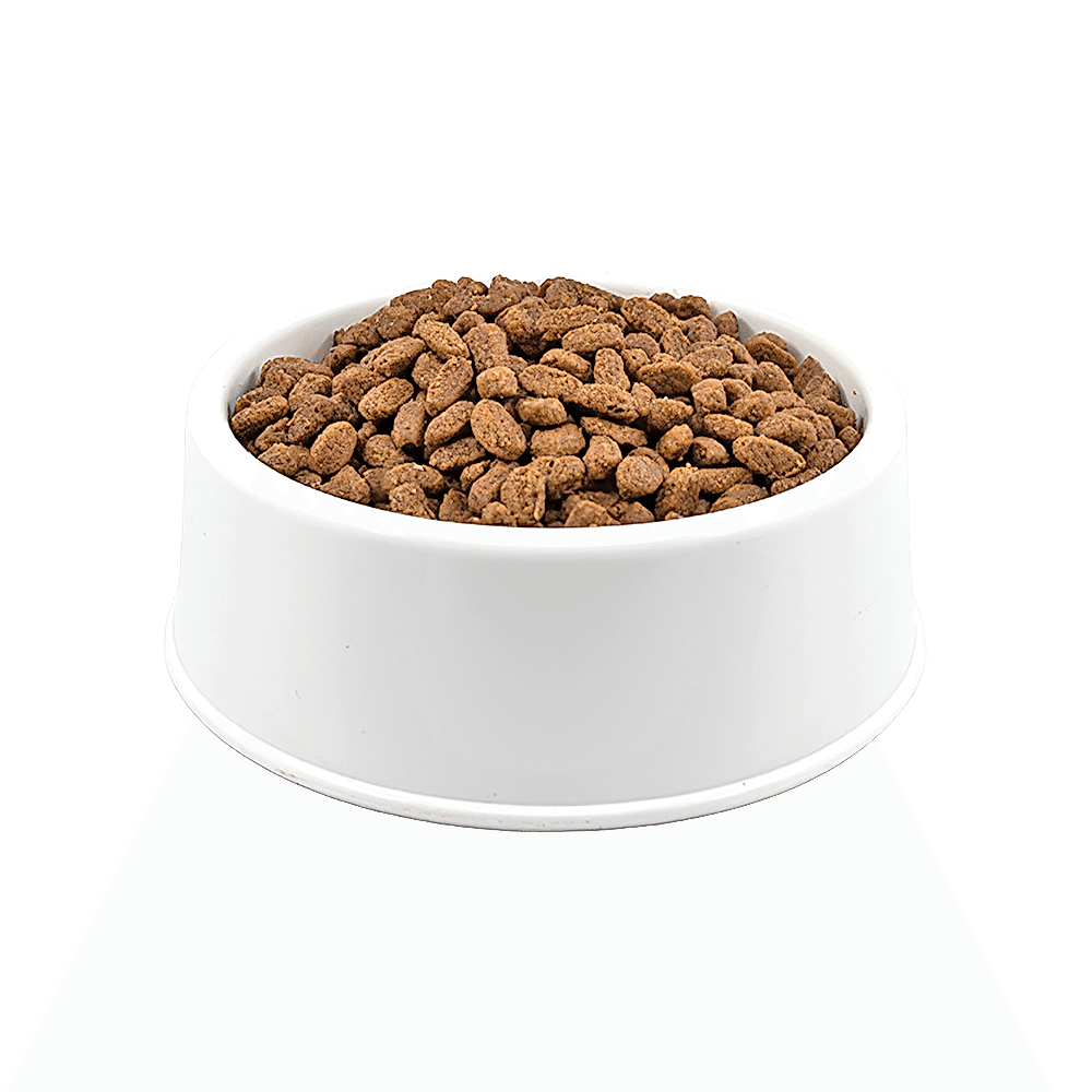 Brit Care Tahılsız Somonlu Açık Yavru Kedi Maması 1 KG