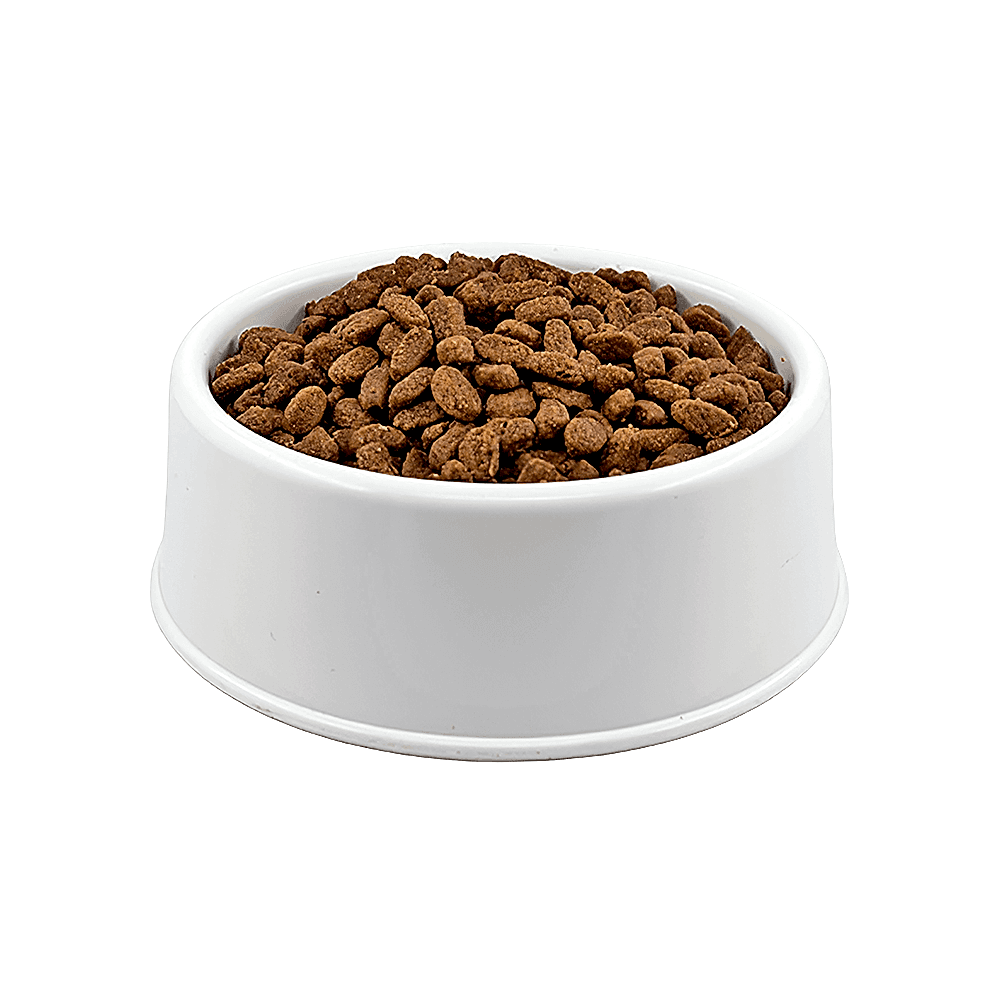 Brit Care Tahılsız Somonlu Açık Yavru Kedi Maması 500 GR