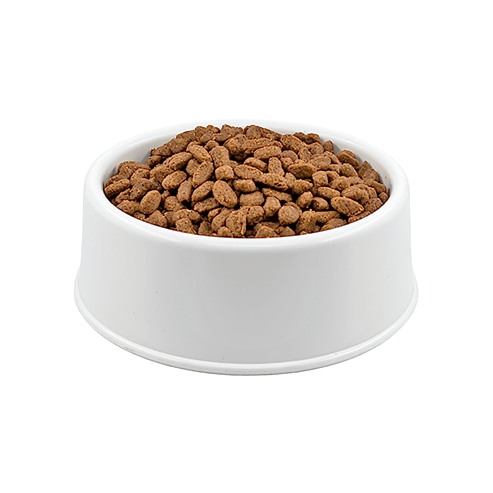 Brit Care Tahılsız Tavuk Etli ve Hindili Açık Yavru Kedi Maması 500 GR