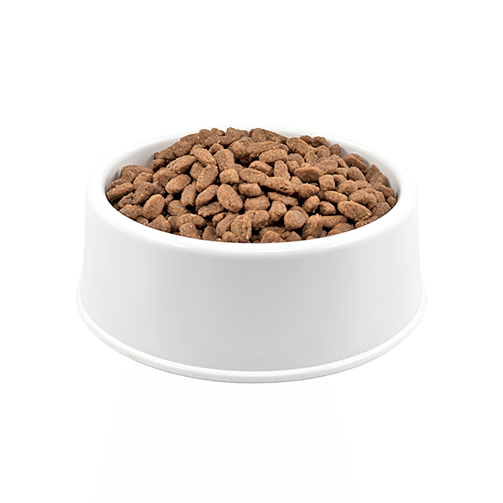 Homie Super Premium Düşük Tahıllı Anne & Yavru Kuzu Etli Açık Yavru Kedi Maması 1 KG