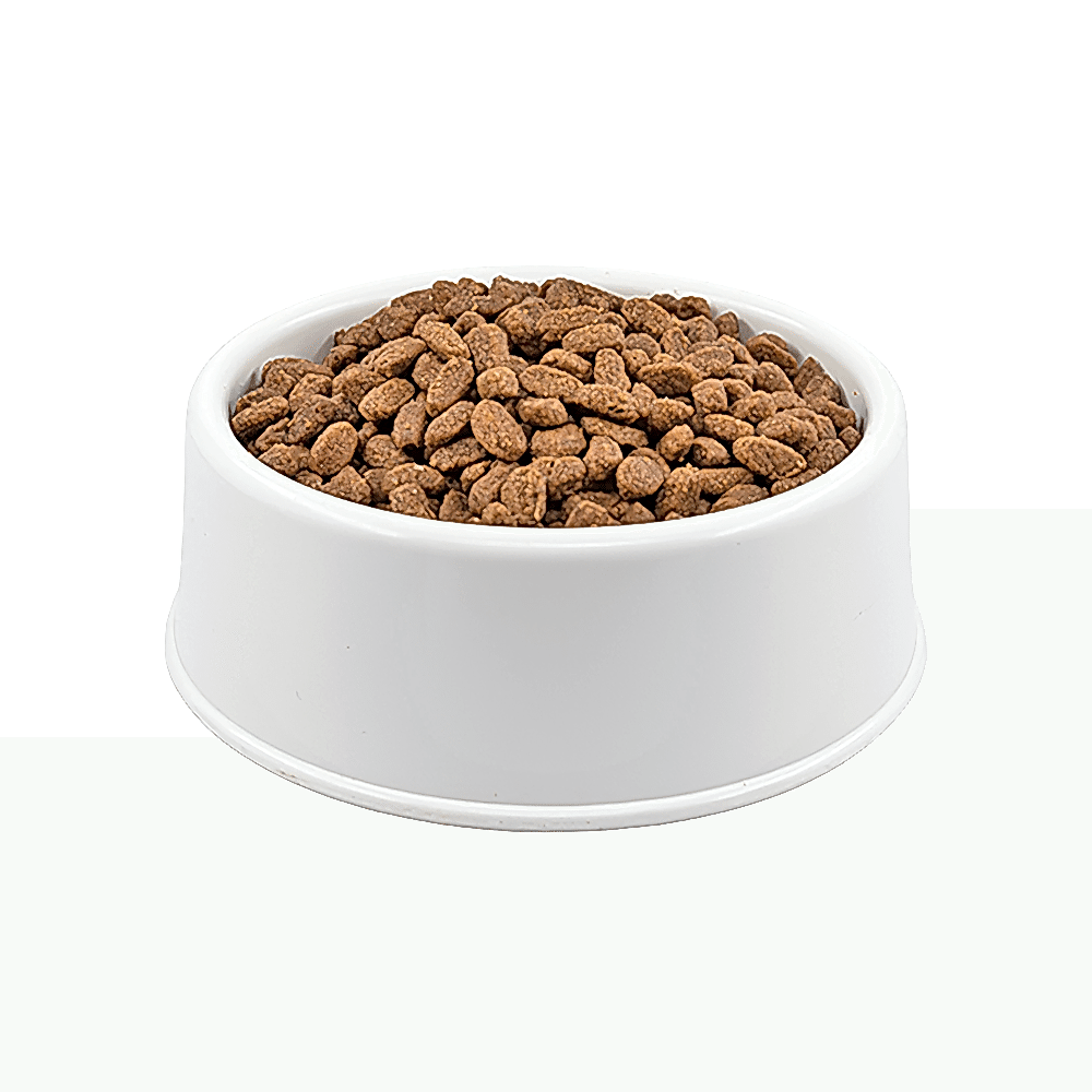 Nature's Protection Kümes Hayvanlı Açık Yavru Kedi Maması 1 KG