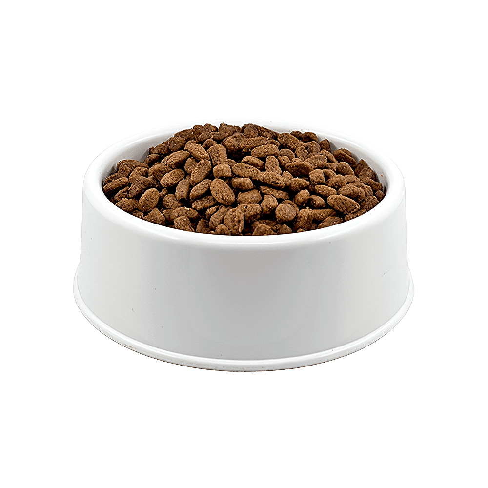 N&D Tahılsız, Tavuk Etli & Narlı Açık Yavru Kedi Maması 500 GR