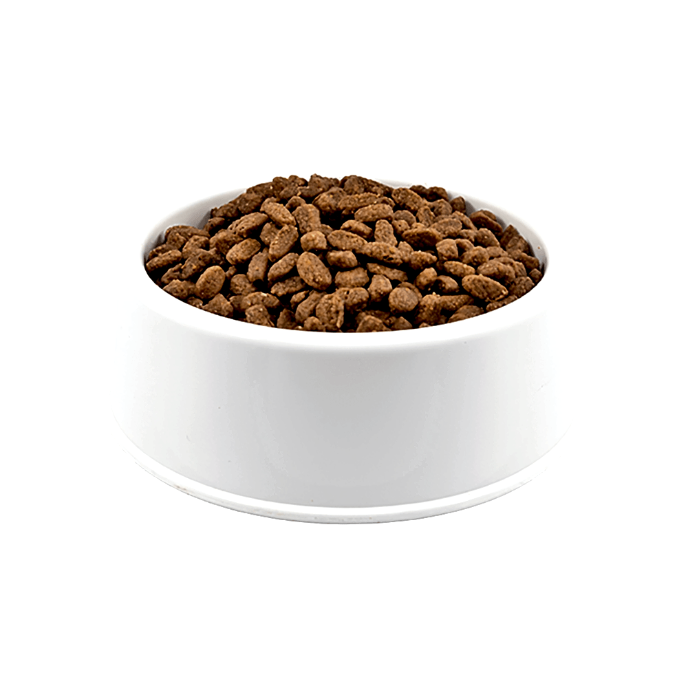 N&D Ancestral Grain Tavuk Etli ve Narlı Açık Yetişkin Kedi Maması 500 GR