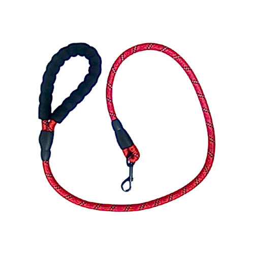 Maxi Life Fitil Uzatma Köpek Gezdirme (8 mm x 120 cm)