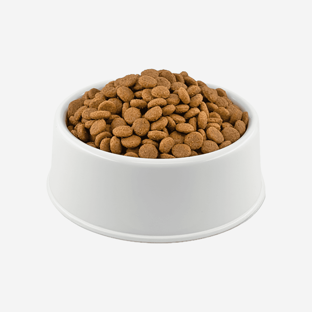 Royal Canin British Shorthair Açık Yetişkin Kedi Maması 1 kg