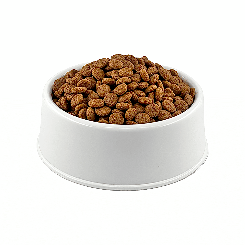 Royal Canin British Shorthair Açık Yetişkin Kedi Maması 500 gr