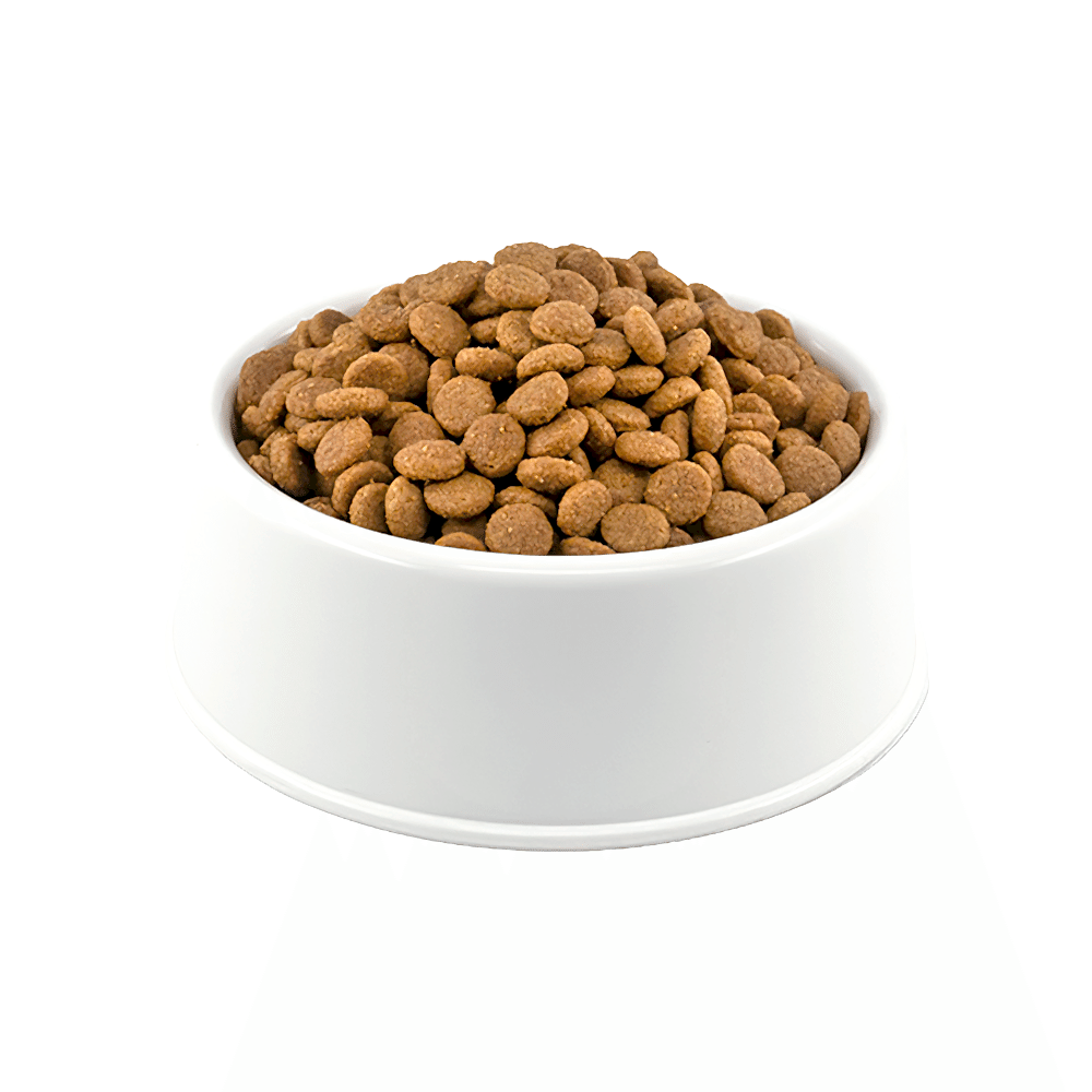 Royal Canin Sensible Hassas Sindirim Sistemi Açık Yetişkin Kedi Maması 500 gr