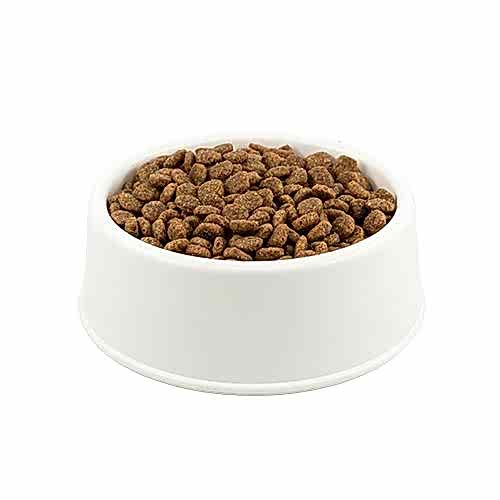 Purina Pro Plan Somonlu Orta Irk Açık Yetişkin Köpek Maması 1 KG