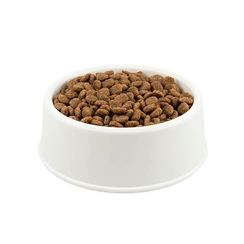 Royal Canin Büyük Irk Açık Yetişkin Köpek Maması 500 GR