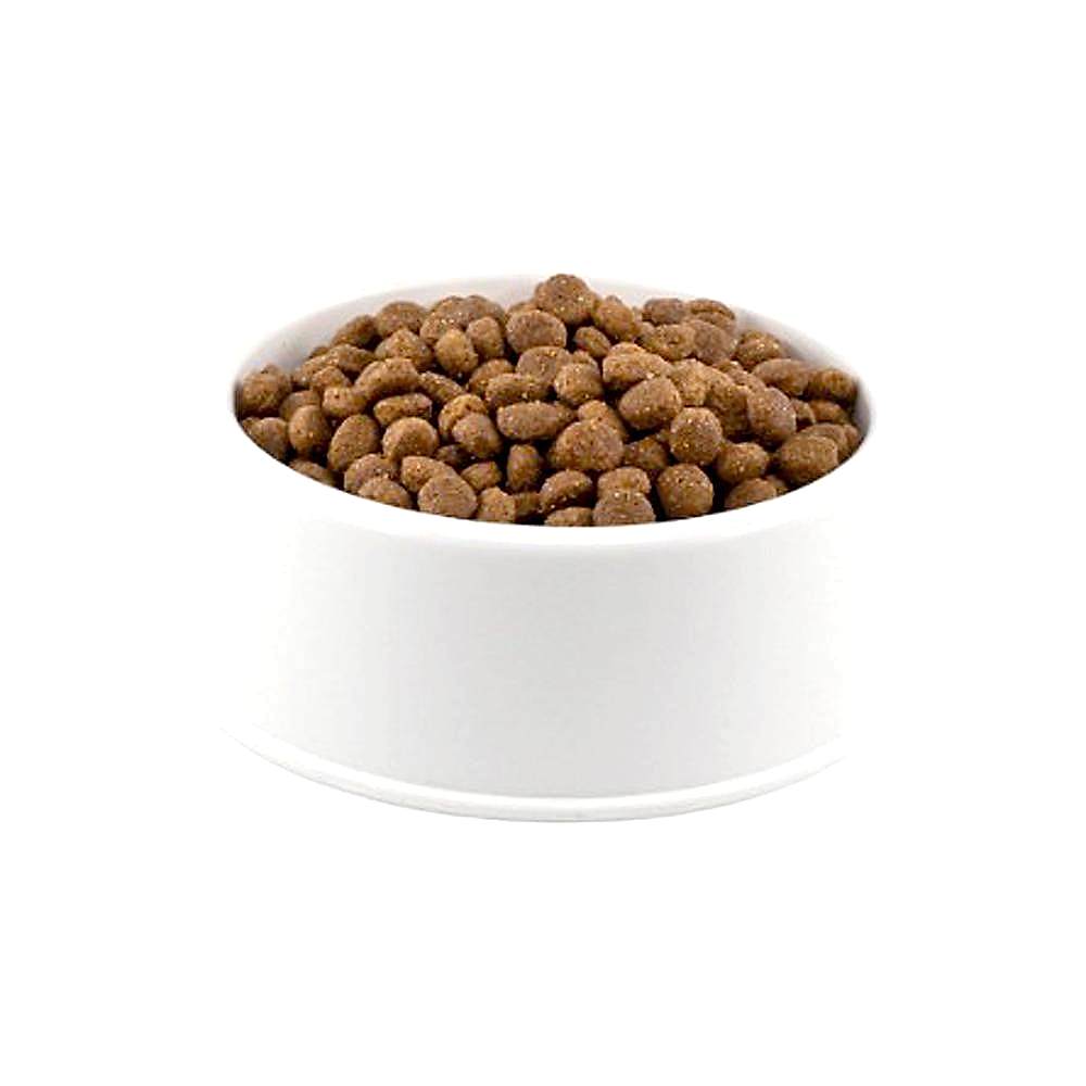 Hill's Science Plan Kuzu Etli Küçük Irk Açık Yetişkin Köpek Maması 1 KG