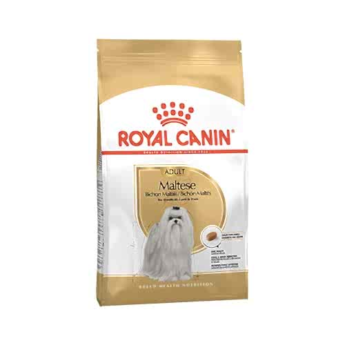 Royal Canin Maltese Terrier Yetişkin Köpek Maması (1,5 kg)