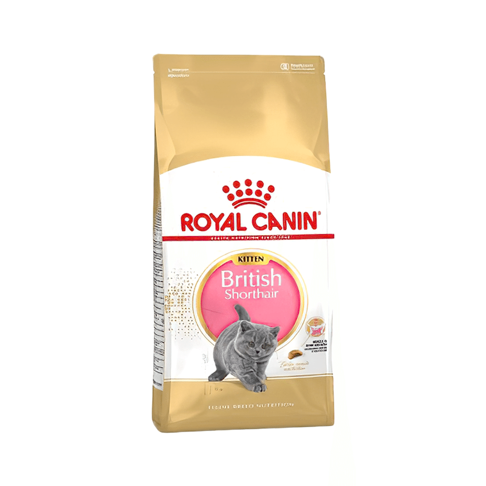 Royal Canin British Shorthair Yavru Kedi Maması (2 kg)