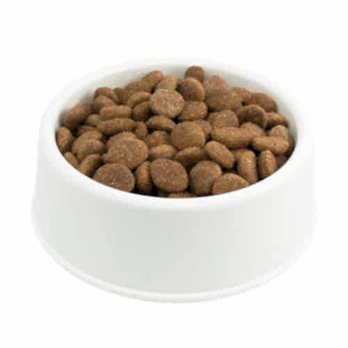 Pro Plan Mini Somonlu Küçük Irk Köpek Maması 1 KG